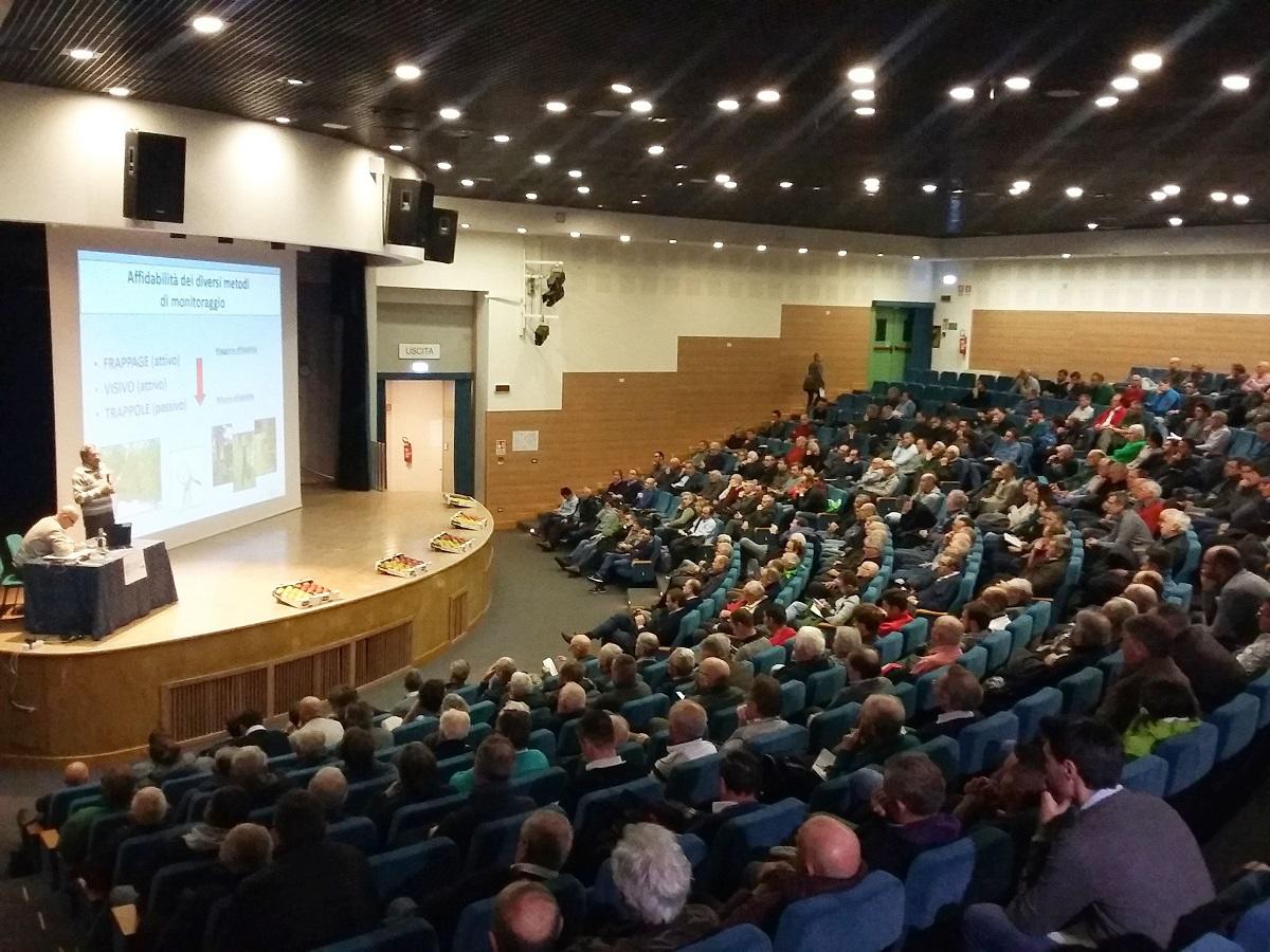 Ventiduesima Giornata tecnica di Cles: focus su cimice asiatica, difesa, frutteto a guyot e nuove varietà Si è svolta a Cles la tradizionale giornata tecnica di aggiornamento per i frutticoltori.