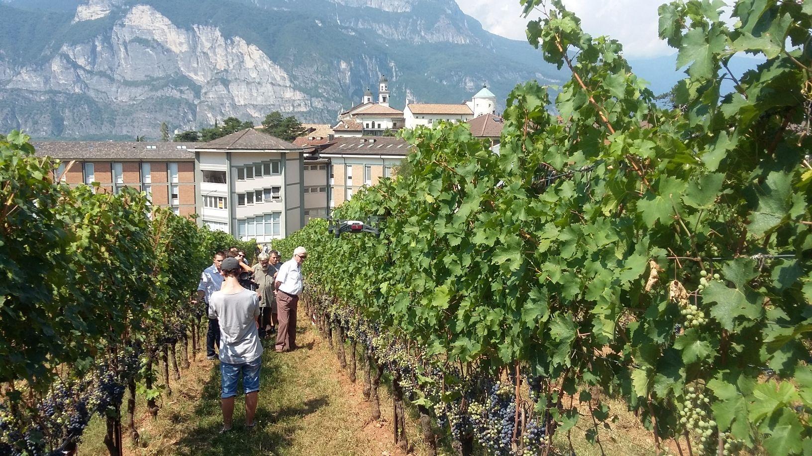 Vendemmia 2018 al centro dell’11° Giornata tecnica della vite e del vino La vendemmia 2018 è stata molto soddisfacente dal punto di vista quantitativo; qualitativamente parlando, invece, l’effetto dei cambiamenti climatici ha messo alla prova le capacità e l’impegno professionale di agricoltori e tecnici. Se ne parlerà giovedì 6 dicembre dalle 9 in aula magna a San Michele all’Adige in occasione dell’11° Giornata tecnica della vite e del vino. L’evento sarà trasmesso in diretta streaming sul canale Youtube della Fondazione Mach.