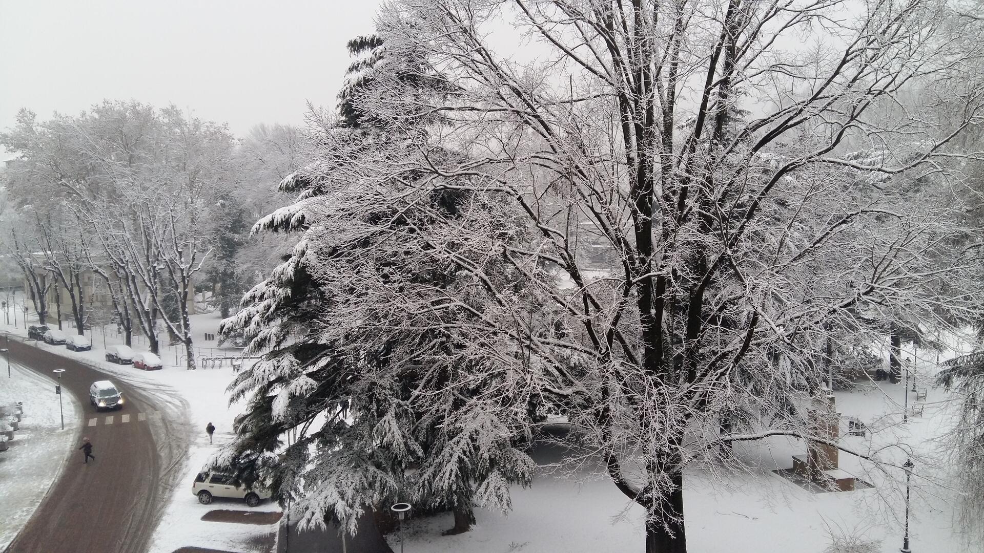 Nel fine settimana è previsto l’arrivo di aria molto fredda proveniente dall’Europa nordorientale che determinerà, dal pomeriggio di sabato e per domenica, un generale calo delle temperature di circa 8-10 gradi, con freddo vento da nord anche in valle.