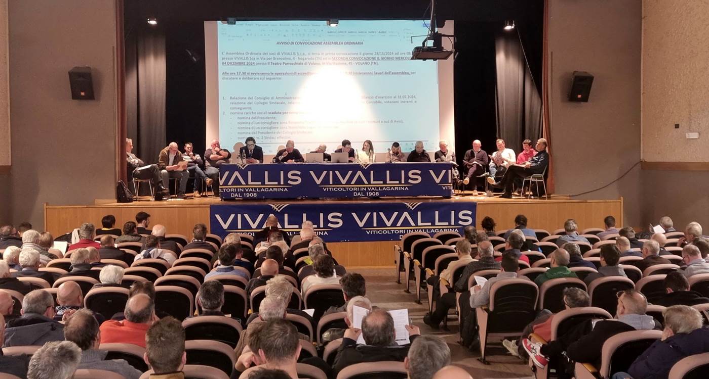 L'assemblea