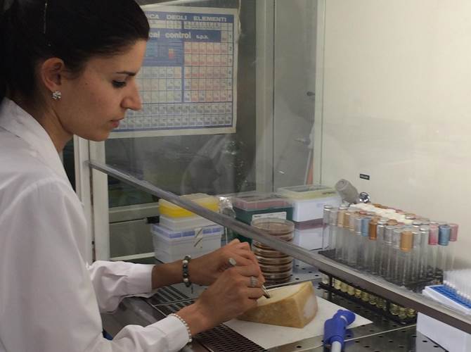 Latte e derivati: ricerca, innovazione e valorizzazione L’Associazione Italiana Tecnici del Latte (Aitel), in collaborazione con la Fondazione Edmund Mach, il Concast - Consorzio dei caseifici sociali e produttori latte trentini, l’Ufficio agricoltura della Provincia Autonoma di Trento e la Federazione provinciale allevatori Trento organizza il 6° Congresso Lattiero-Caseario “Latte e derivati: ricerca, innovazione e valorizzazione” in programma a Trento, giovedì 20 settembre 2018, presso la Sala della Cooperazione.