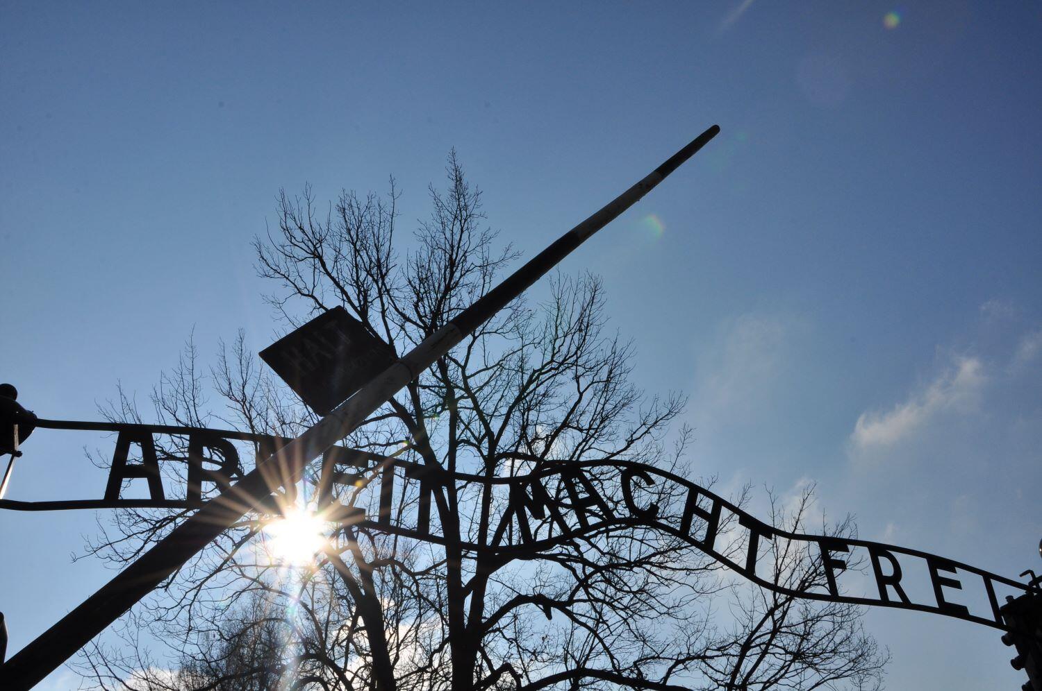 Il Treno della Memoria è fermo a causa della pandemia, ma la memoria continua a viaggiare. E la tappa principale è a Trento dove - dal 19 al 27 gennaio - si svolgerà “Living Memory” il primo Festival della Memoria creato dall'associazione &quot;Terra del Fuoco Trentino” con il contributo della Provincia autonoma di Trento e della Fondazione Museo storico. 