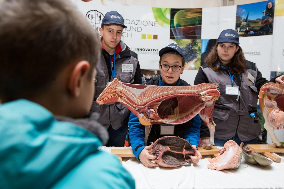 Storica e costante la presenza della Fondazione Edmund Mach alla Mostra dell'Agricoltura di Trento, manifestazione che giunge quest’anno alla sua 73esima edizione, in programma il 16 e 17 marzo nel quartiere fieristico di Trento. Da sempre questo evento rappresenta per l'Istituto di San Michele  una importante occasione per “trasferirsi” per due giorni in città e “incontrare” la cittadinanza presentando alcune attività svolte da ricercatori, tecnici, docenti e studenti nel campus di San Michele all’Adige.