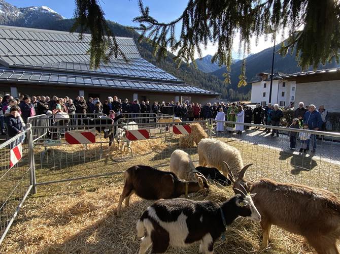 A Bondo la benedizione degli animali Gli allevatori della valle del Chiese riuniti ieri a Bondo per la festa dedicata a Sant’Antonio Abate.