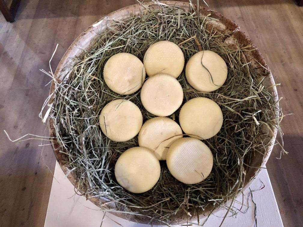 Il formaggio “solidale” degli studenti per i boschi della Val di Fiemme Gli studenti della Fondazione Edmund Mach e il Caseificio sociale Val di Fiemme-Cavalese hanno ideato una caciottina che, dalla Vigilia di Natale e per tutto il 2019, sarà venduta a valligiani e turisti. Parte del ricavato sarà donato dal Caseificio alla Magnifica Comunità di Fiemme per mettere a dimora nuove piantine di abete rosso in sostituzione di quelle distrutte dagli eventi atmosferici estremi del 29 e 30 ottobre scorso.