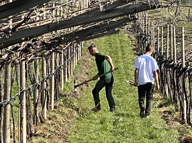 Appello unitario delle organizzazioni agricole: i bonus governativi in beneficenza Le organizzazioni rappresentative del comparto unite nell’invitare i propri associati a sostenere chi vive situazioni di disagio a causa dell’emergenza in atto.In prima battuta si è chiesto a tutti i soci beneficiari dei sostegni governativi (600 euro per il mese di marzo e 800, se confermate, a aprile e maggio) di indirizzare le loro azioni di significativa beneficenza alla protezione civile trentina o altre associazioni