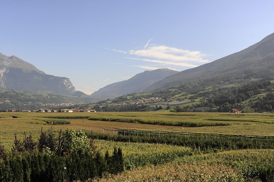 La Giunta provinciale, su proposta dell’assessore Giulia Zanotelli, ha approvato il ddl che detta la nuova disciplina provinciale per l’agricoltura biologica. L’obiettivo della norma è quello di riorganizzare la materia recependo le emergenti esigenze del settore, in attuazione della più recente normativa dell’Unione europea, con particolare riferimento al Regolamento (UE) 2018/848 del Parlamento europeo e del Consiglio.