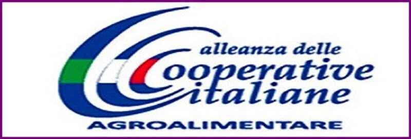 Alleanza Cooperative sollecita misure per le gelate e attenzione alla Farm to Fark. Obiettivi realistici di riduzione dell’uso delle sostanze fitosanitarie e un adeguato periodo di transizione nel Piano strategico nazionale sono gli altri due appelli avanzati dal Coordinatore Davide Vernocchi.