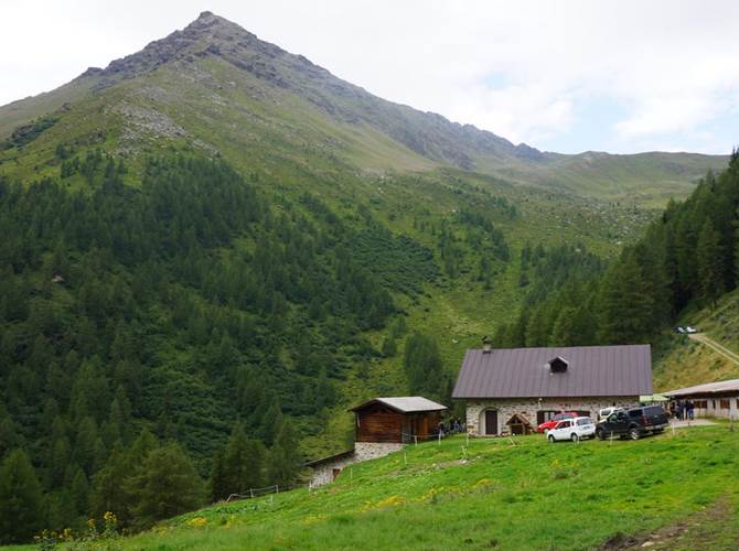 A Malga Cercen l'incontro con gli allevatori della Val di Sole Favorire il consumo dei prodotti trentini, gestire la presenza di orsi e lupi e far fronte ai maggiori costi dell’agricoltura di montagna: questi gli importanti temi emersi oggi nell’incontro tra il governatore Ugo Rossi, gli assessori provinciali Michele Dallapiccola e Carlo Daldoss e gli allevatori della Val di Sole, nella splendida cornice della malga Cercen, in Val di Rabbi.