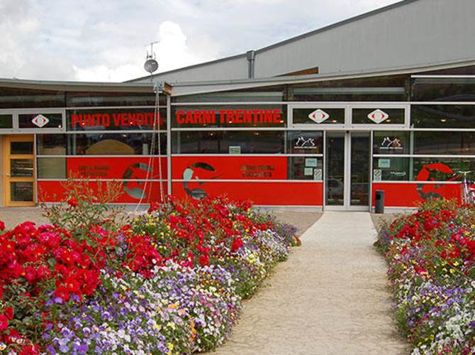 Federazione Provinciale Allevatori: il nuovo direttore è Massimo Gentili E’ stato nominato durante il consiglio di amministrazione di alcuni giorni fa.  Raccoglie il testimone di Claudio Valorz.